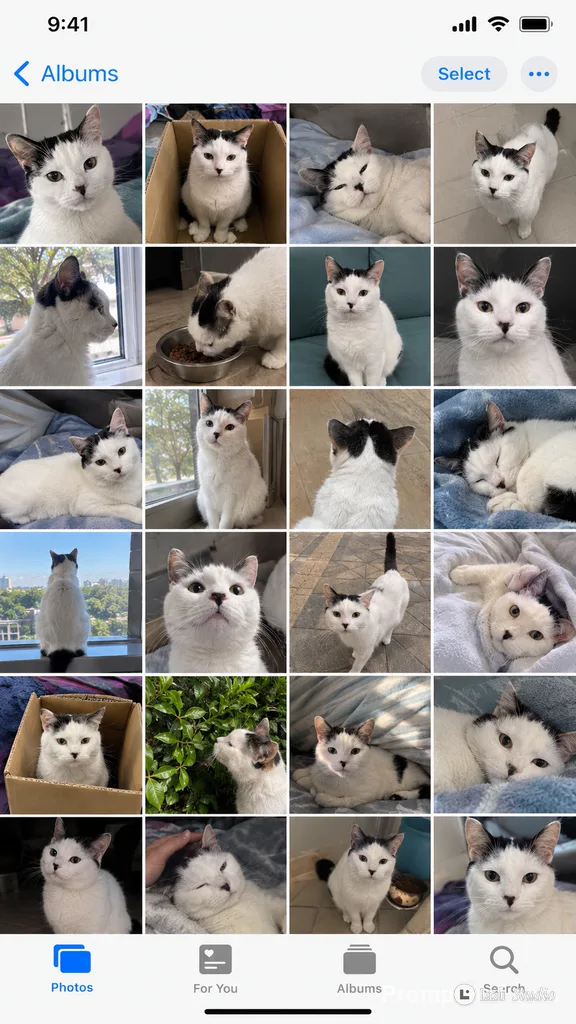A screenshot mockup of an iPhone Photos grid showing daily snapshot thumbnails.