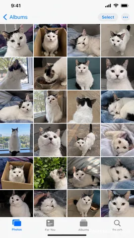 A screenshot mockup of an iPhone Photos grid showing daily snapshot thumbnails.